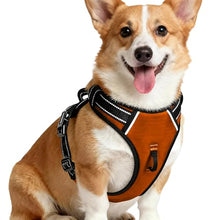 Load image into Gallery viewer, No Pull Dog Harness, No-Choke Soft Padded Reflective Dog Vest Harness with Front Clip &amp; Top Handle, 2 Quick-Release Buckles, Adjustable for Small Medium Large Dogs
