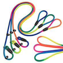 Load image into Gallery viewer, FOVRLZSE 3-Pack Rainbow Dog Slip Leads, 5FT Reflective Nylon, Multi-Color
