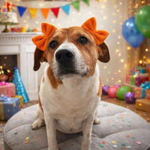 Load image into Gallery viewer, Double Bow Dog Headband 3 Pack, Elastic Doggie Headbands for Small &amp; Medium Dogs, Puppy Bow Hair Accessories for Grooming, Photos, Parties &amp; Holidays
