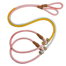 Load image into Gallery viewer, FOVRLZSE 2-Pack Adjustable No-Pull Dog Leash Set, Macaron Color
