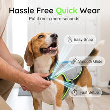 Load image into Gallery viewer, Dog Cooling Vest, Reflective Adjustable Cooling Harness, Ice Pack Pocket, Leash Ring Breathable Summer Vest Hot Weather Outdoor Walks (Grey, XXL)
