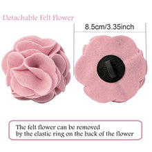 Load image into Gallery viewer, ARING PET Velvet Dog Collars, Pink Soft Pet Collar with Detachable Felt Flower Metal Buckle for Puppy Small Medium Large Boy Girl Dogs-XL
