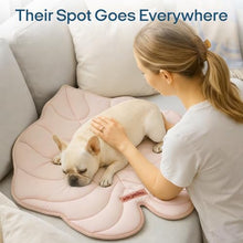 Load image into Gallery viewer, Vagascape Dog Cooling Mat, Washable Pet Cooling Mat, 47" x 45" Thick &amp; Durable Large Cooling Mat for Dogs, Portable Foldable Premium Cooling Pad for Indoor, Outdoor, Travel, Camping, Patio and Beach
