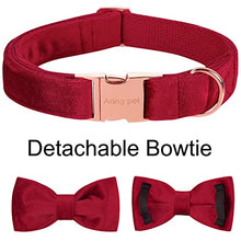 Load image into Gallery viewer, ARING PET Velvet Dog Collar-Soft Bowtie Dog Collars with Metal Buckle, Cute&amp;Comfortable Christmas Red Dog Collar with Bow for Small Medium Large Dogs
