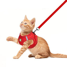 Load image into Gallery viewer, FEimaX Dog Harness and Leash Set, No Pull Breathable Soft Mesh Puppy Vest Harness Reflective Adjustable Pet Harnesses for Small Medium Dogs and Cats - Outdoor Easy Control for Walking
