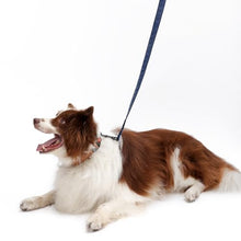 Load image into Gallery viewer, Soft Leather 4ft Dog Collar and Leash Set,Stylish 4ft PU Leather Dog Training Leash, Adjustable Durable Pet Collars with Quick Release Buckle for Large Dogs,Medium Dogs,Terracotta (Blue, 4 feet)
