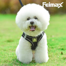 Load image into Gallery viewer, FEimaX Dog Harness and Leash Set, No Pull Breathable Soft Mesh Puppy Vest Harness Reflective Adjustable Pet Harnesses for Small Medium Dogs and Cats, Outdoor Easy Control for Walking
