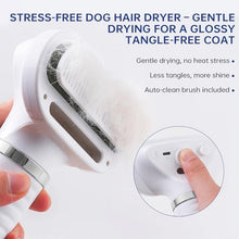 Load image into Gallery viewer, Professional Pet Grooming Dryer Brush – 3-in-1 Dog Blow Dryer with Slicker Brush, Adjustable Temp, Overheat Safe, Salon Quality
