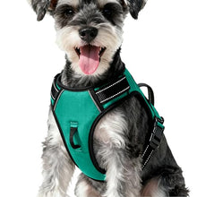 Load image into Gallery viewer, No Pull Dog Harness, No-Choke Soft Padded Reflective Dog Vest Harness with Front Clip &amp; Top Handle, 2 Quick-Release Buckles, Adjustable for Small Medium Large Dogs
