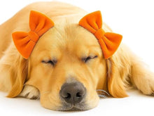 Load image into Gallery viewer, mqajdv Dog Hair Double Bow Headbands 3 Pcs – Bow Headband for Dogs, Dog Hair Bow,Classic Dog Hair Bows, Adjustable Headband, Puppy Bow, Pet Hair Bow, Dog Grooming Accessory
