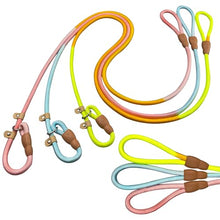 Load image into Gallery viewer, FOVRLZSE 3-Pack Macaron Nylon Dog Leashes, 5.2FT for Small Medium Dogs
