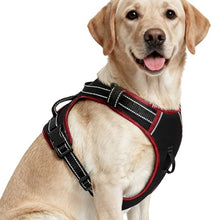 Load image into Gallery viewer, No Pull Dog Harness, No-Choke Soft Padded Reflective Dog Vest Harness with Front Clip &amp; Top Handle, 2 Quick-Release Buckles, Adjustable for Small Medium Large Dogs
