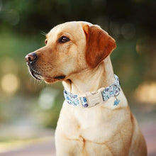Load image into Gallery viewer, ARING PET Dinosaur Dog Collar-Cute Dog Collar for Small Dogs, Adjustable Dinosaur Print Pet Collars Puppy Collar for Small Medium Large Dogs
