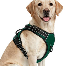 Load image into Gallery viewer, No Pull Dog Harness, No-Choke Soft Padded Reflective Dog Vest Harness with Front Clip &amp; Top Handle, 2 Quick-Release Buckles, Adjustable for Small Medium Large Dogs
