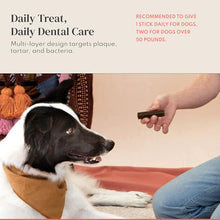 Load image into Gallery viewer, Dental Chews for Dogs - Scrapes Plaque, Freshens Breath &amp; Fights Tartar - Dual-Layered Probiotic Dental Sticks - Vet-Formulated with 16 Active Ingredients - All Dog Sizes - Made in the USA - 30 Count
