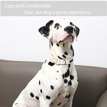 Load image into Gallery viewer, ARING PET White Dog Collar-Adjustable Small Dog Collars, Lightweight Cotton Wedding Pet Collars with Quick Release Buckle for Small Medium Large Dog
