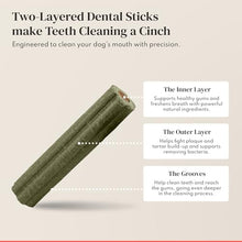 Load image into Gallery viewer, Dental Chews for Dogs - Scrapes Plaque, Freshens Breath &amp; Fights Tartar - Dual-Layered Probiotic Dental Sticks - Vet-Formulated with 16 Active Ingredients - All Dog Sizes - Made in the USA - 30 Count
