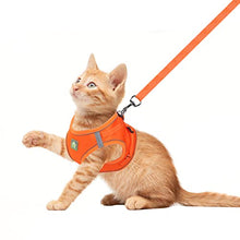 Load image into Gallery viewer, FEimaX Dog Harness and Leash Set, No Pull Breathable Soft Mesh Puppy Vest Harness Reflective Adjustable Pet Harnesses for Small Medium Dogs and Cats, Outdoor Easy Control for Walking
