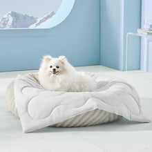 Load image into Gallery viewer, MIXJOY Cooling Blanket for Small Dogs Breathable, Dual-Sided Q-MAX>0.5, Lightweight Pet Cooling Throw Blanket Summer for Dog Bed &amp; Dog Crate, Washable Soft Dog Cat Cold Mat Durable, Pearl Grey, 25x35
