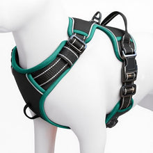 Load image into Gallery viewer, No Pull Dog Harness, No-Choke Soft Padded Reflective Dog Vest Harness with Front Clip &amp; Top Handle, 2 Quick-Release Buckles, Adjustable for Small Medium Large Dogs
