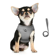 Load image into Gallery viewer, FEimaX Dog Harness and Leash Set for Walking, Soft Mesh Adjustable Easy Control Lightweight Cat Vest Harnesses with Reflective Strips, Escape Proof Small Dogs Cats Vests (Grey, Medium)
