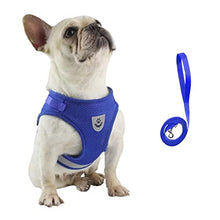 Load image into Gallery viewer, FEimaX Dog Harness and Leash Set for Walking, Soft Mesh Adjustable Easy Control Lightweight Cat Vest Harnesses with Reflective Strips, Escape Proof Small Dogs Cats Vests (Blue, Large)
