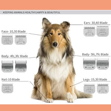Load image into Gallery viewer, 5FC Dog Grooming Ceramic Blades,Compatible with Andis,Oster A5,Wahl KM10
