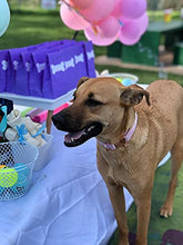 Load image into Gallery viewer, ARING PET Velvet Dog Collars with Bow tie, Bowtie Dog Collar, Cute Pink Collar for Girl and Boy Dogs,X-Small.
