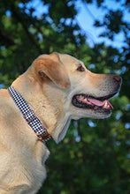Load image into Gallery viewer, ARING PET Bowtie Dog Collars Adjustable Collar with Bow Tie for Puppy Small Medium Large Boy Girl Dogs-Size M Length 13.5-22"
