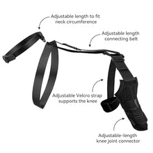Load image into Gallery viewer, Dog Knee Brace for Back Leg, Adjustable Dog Leg Brace for Torn ACL Hind Leg Support, Joint Stability, Injury Recovery, Pain Relief, Dogs Rear Leg Wrap Harness Set with Collar and Leash
