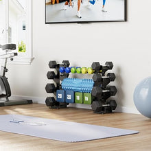 Load image into Gallery viewer, 4-Tier Dumbbell Rack Stand for Home Gym: Rack Only Holder for Dumbbells
