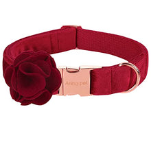 Load image into Gallery viewer, ARING PET Velvet Dog Collars, Christmas Red Soft Pet Collar with Detachable Felt Flower Metal Buckle for Puppy Small Medium Large Boy Girl Dogs-S
