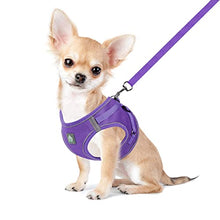Load image into Gallery viewer, FEimaX Dog Harness and Leash Set, No-Pull Breathable Soft Mesh Puppy Vest Harness Reflective Adjustable Pet Harnesses for Small Medium Dogs and Cats - Outdoor Easy Control for Walking
