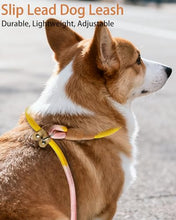Load image into Gallery viewer, FOVRLZSE 2-Pack Adjustable No-Pull Dog Leash Set, Macaron Color
