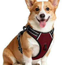 Load image into Gallery viewer, No Pull Dog Harness, No-Choke Soft Padded Reflective Dog Vest Harness with Front Clip &amp; Top Handle, 2 Quick-Release Buckles, Adjustable for Small Medium Large Dogs
