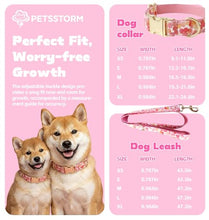 Load image into Gallery viewer, Personalized Polyester Collar, Personalized Polyester Dog Collar with Name and Phone Number, Customizable Laser-Engraved Collar with Metal Quick Release Buckle for Dogs
