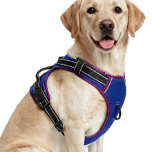 Load image into Gallery viewer, No Pull Dog Harness, No-Choke Soft Padded Reflective Dog Vest Harness with Front Clip &amp; Top Handle, 2 Quick-Release Buckles, Adjustable for Small Medium Large Dogs
