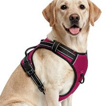 Load image into Gallery viewer, No Pull Dog Harness, No-Choke Soft Padded Reflective Dog Vest Harness with Front Clip &amp; Top Handle, 2 Quick-Release Buckles, Adjustable for Small Medium Large Dogs
