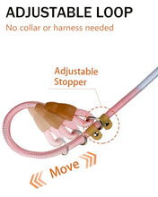 Load image into Gallery viewer, FOVRLZSE 2-Pack Adjustable No-Pull Dog Leash Set, Macaron Color
