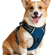 Load image into Gallery viewer, No Pull Dog Harness, No-Choke Soft Padded Reflective Dog Vest Harness with Front Clip &amp; Top Handle, 2 Quick-Release Buckles, Adjustable for Small Medium Large Dogs
