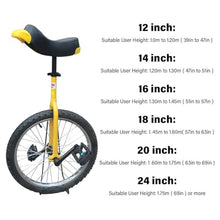 Load image into Gallery viewer, Single Wheel Unicycles Single Wheel Unicycles for Adults Kids, Outdoor Unicycle with Adjustable Seat, Leakproof Tire One Wheel Bike Tires Mountain Unicycle(24&quot;)
