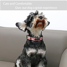 Load image into Gallery viewer, ARING PET Summer Dog Collar-Cute Watermelon Dog Collar for Small Dogs, Adjustable Soft Cotton Girl Dog Collars for Small Medium Large Dogs, X-Small
