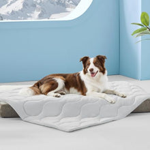 Load image into Gallery viewer, MIXJOY Cooling Blanket for Extra Large Dogs Breathable, Dual-Sided with Q-MAX>0.5, Lightweight Pet Cooling Throw Blanket Summer for Dog Bed &amp; Couch Bed, Washable Soft Cat Cold Mat, Pearl Grey, 50x60

