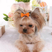Load image into Gallery viewer, NCMAMA Dog Hair Bows with Rubber Bands for Small Dog Puppy Girls Grooming
