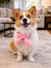Load image into Gallery viewer, Dog Bow Collar 2 Pack – Soft Adjustable Puppy Collars with Removable Bell, Pink &amp; White Cute Dog Collar for Small Medium Dogs, Boutique Pet Accessory for Daily Wear, Photos &amp; Parties
