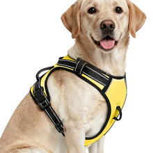Load image into Gallery viewer, No Pull Dog Harness, No-Choke Soft Padded Reflective Dog Vest Harness with Front Clip &amp; Top Handle, 2 Quick-Release Buckles, Adjustable for Small Medium Large Dogs
