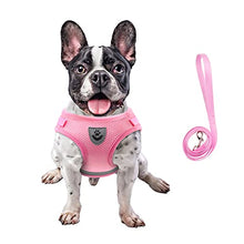 Load image into Gallery viewer, FEimaX Dog Harness and Leash Set for Walking, Soft Mesh Adjustable Easy Control Lightweight Cat Vest Harnesses with Reflective Strips, Escape Proof Small Dogs Cats Vests (Pink, Large)
