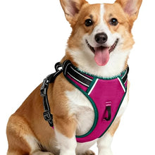 Load image into Gallery viewer, No Pull Dog Harness, No-Choke Soft Padded Reflective Dog Vest Harness with Front Clip &amp; Top Handle, 2 Quick-Release Buckles, Adjustable for Small Medium Large Dogs
