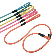 Load image into Gallery viewer, FOVRLZSE 6-Pack Macaron Nylon Slip Leads, 4.6FT for Small to Medium Dogs
