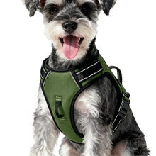 Load image into Gallery viewer, No Pull Dog Harness, No-Choke Soft Padded Reflective Dog Vest Harness with Front Clip &amp; Top Handle, 2 Quick-Release Buckles, Adjustable for Small Medium Large Dogs
